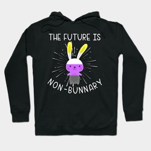 The Future Is Nonbinary "Non-Bunnary" Enby NB Gender Queer Hoodie